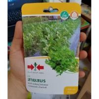 ราคา เมล็ดพันธุ์ผักชี สายสมร ตราศรแดง (ซองเล็ก) (3732690904)