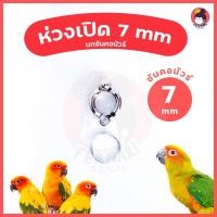 ราคา ห่วงขานก ห่วงเปิดคล้องขานก 7 mmพร้อมส่ง!!!ห่วงขานกแก้ว ซันคอนัวร์ (6951288681)
