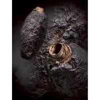 ราคา ตะกรุดหนังหน้าผาก "เสือไฟ" ครูบาต๋า วัดบ้านเหล่า (40103660960)