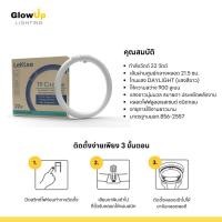 ราคา LEKISE หลอดฟลูออเรสเซนต์กลม T9 22วัตต์ แสงเดย์ไลท์ (44468474347)