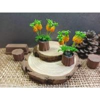 ราคา สับปะรดสีจิ๋ว สับปะรดสีดินปั้นจิ๋ว สับปะรดสี #ของจิ๋ว #miniature (42652871546)
