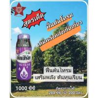 ราคา (บริษัท เบสท์ เคมี) ฮอร์โมนพืช ปุ๋ยเคมี บีเฟิร์ท 15-15-15 ปุ๋ยน้ำสูตรเสมอ ขนาด 1 ลิตร (27779138902)
