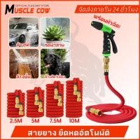 ราคา สายยาง สายยางยืดหดอัตโนมัติ 10 เมตร ยืดได้ถึง 3 เท่า พร้อมหัวฉีด สายยางรดน้ำ สายยางล้างรถ เก็บง่าย ประหยัดพื้นที่ (48503470591)