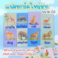 ราคา Big Card สัตว์น่ารัก (Animals) (18281997316)