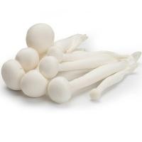 ราคา เห็ดหลินขาว White Shimeji Mushroom [หมายเลขบาร์โค้ด 0000033716022 ] สินค้าคุณภาพดี คัดสรรอย่างตั้งใจ (56553158823)