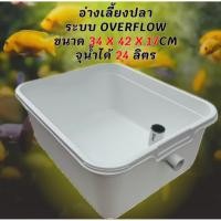 ราคา อ่างเลี้ยงปลาพลาสติกสีขาว อ่างท่อขาว ขนาด 34 x 42 x 17CM จุน้ำได้ 24 ลิตร อ่างเลี้ยงปลา อ่างเลี้ยงปลาบอลลูน อ่างปลา (42228642043)