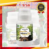 ราคา ไคโตซาน ไคโตซานมิค ไคโตซานพืช สูตรพืช (500 ซีซี 1 ขวด) ปรับสภาพดิน และสภาพแวดล้อมบริเวณเพาะปลูก (26304777438)