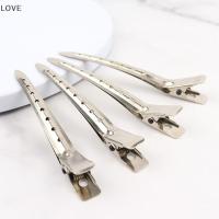ราคา [JJCW] 10 ชิ้นคลิปดูแลเส้นผมสแตนเลส Hairdressing Section คลิป Clamps สําหรับเครื่องมือทําผม QQW (46006731501)