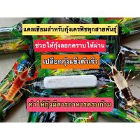 ราคา แคลเซียมสำหรับกุ้งเครฟิชทุกสายพันธุ์ (18804751841)