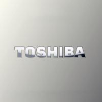 ราคา ♚-♚โลโก้ TOSHIBA สติกเกอร์โลหะโลโก้โตชิบาสติกเกอร์โลโก้เครื่องใช้ไฟฟ้าเครื่องเสียงตกแต่งแล็ปท็อป (27666217415)
