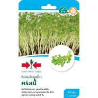 ราคา เมล็ดพันธุ์ ต้นอ่อนโตวเหมี่ยว คริสปี้ ตราศรแดง (45357063794)