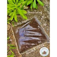ราคา ปุ๋ยใบก้ามปูหมัก ร่อนละเอียด ใบก้ามปูล้วนๆ หมักจนยุ่ยไม่มีดินปน หนักประมาณ 1 kg (8389004249)