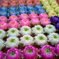 ราคา เหรียญโปรยทาน ดอกบัว(ตัวเปล่า)ไม่ใส่เหรียญ (5831613950)