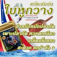 ราคา ใบหูกวาง uht สกัดเข้มข้น สำหรับ ปลากัด ปลากัดสวยงาม น้ำหมักปลากัด ใบหูกวางแห้ง สีเสียด น้ำหมักใบหูกวาง ใบหูกวางปลากัด (17591877917)