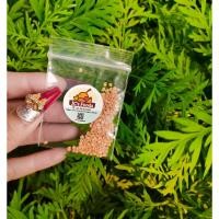 ราคา เมล็ดมะเขือไข่เต่าขาวมีประมาณ200เมล็ดสำหรับเพาะปลูก ซองละ29บาท (23640209787)