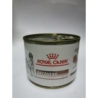 ราคา อาหารสำหรับสัตว์พักฟื้น Royal canin recovery 195 g. (6046771518)