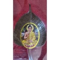 ราคา ใบโพธิ์ จากต้นศรีมหาโพธิ์ พระพุทธเจ้าตรัสรู้ เมืองพทธคยา ประเทศอินเดีย แท้100% (41876822075)