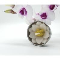 ราคา เทียนทีไลท์ ใน Set 4 ชิ้น เทียนดอกบัว เทียนหอม เทียนสวยงาม เทียนแฟนซี บูชาพระ เทียนดอกไม้ ดอกไม้ candles อโรมา (8554379594)