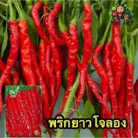 ราคา (ซื้อ1แถม4)พริกโจลอง เมล็ดพันธุ์ผักสวนครัวราคาถูก ขายเมล็ดพันธุ์ผัก ร้านขายเมล็ดพันธุ์ เมล็ดพันธุ์หายาก (50606770695)