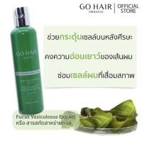 ราคา Go Hair Silky Seaweed Nutrients 250ml (13121970933)