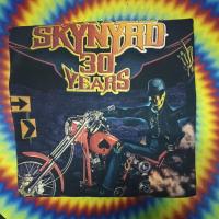 ราคา เสื้อยืดมือสอง Vintage Usa ครบรอบ 30Year วง เสื้อวง Lynyrd Skynyrd 03's Size L.อก21.5/ยาว28 (29723307968)