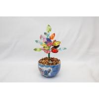 ราคา ต้นไม้มงคล เสริมดวง เสริมโชคลาภ (26772100233)