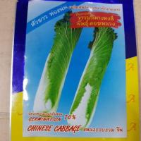 ราคา เมล็ดพันธุ์ ผัก ผักหางหงส์ ผักกาด ผักกาดขาว Chinese Cabbage (2791090287)