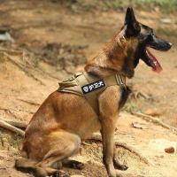 ราคา K9สายรัดหน้าอกสุนัขเสื้อกั๊กสุนัขขนาดกลางและขนาดใหญ่เยอรมันเชพเพิร์ดโกลเด้นรีทรีฟเวอร์ลาบราดอร์ (24131267435)