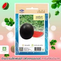 ราคา แตงโมดำ เจียไต๋ แตงโม 45เมล็ด เมล็ดพันธุ์แตงโม เมล็ดแตงโม (897305626)