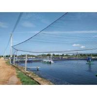 ราคา ตาข่ายกันนกคลุมบ่อเลี้ยงปลา สีดำ ขนาด 4x100 เมตร บ่อผ้าใบ บ่อดิน บ่อปูน (10448622968)