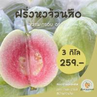 ราคา ฝรั่งไส้แดง พันธุ์หงจ้วนสือ 3 กิโลกรัม (ไซส์ 3-4 ลูก/กิโลกรัม) (27210345549)