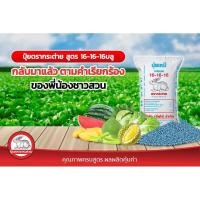 ราคา ปุ๋ย16-16-16BLUEพรีเมี่ยม(แบ่งขาย500gและ950g/ประหยัดค่าส่ง) ปุ๋ยตรากระต่าย16-16-16 ปุ๋ยสูตรเสมอ (6325579615)