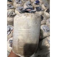 ราคา ก้อนเชื้อเห็ดนางฟ้าภูฐาน ชุด 5 ก้อน (21920149815)