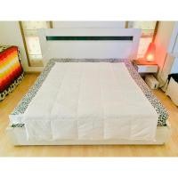 ราคา ผ้านวมขนเป็ด (ขนเป็ดละเอียด) (แบบบาง) ขนาด 4.5-5ฟุต สีขาว ยี่ห้อ IKEA (FJAKKARNIKA) (Made in Sweden) มือสองสภาพดี (19881695028)