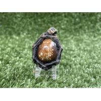 ราคา เบี้ยแก้ เบี้ยกัน (10129126513)