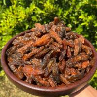 ราคา ตะลิงปลิงแช่อิ่มอบแห้ง ปลูกเอง ตากกับพลังงานเเสงอาทิตย์ (47806895325)