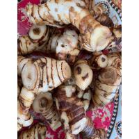 ราคา ข่าแก่ข่าแก่สดปลอดสารเก็บสดๆ1กิโลกรัม (25745386473)