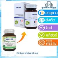 ราคา *แพ็คเกจใหม่*Ginkgo Biloba ใบแปะก๊วยสกัด 60mg สารสกัดเข้มข้นที่ผ่านการปรับมาตรฐานจากUSA กิงโก บิโลบา บรรจุ 30 เม็ด (15660584118)