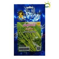 ราคา เมล็ดพันธุ์ ผักบุ้งแก้ว(ผักบุ้งไทย) ตรารางมงคล (6989684530)