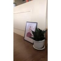 ราคา กรอบรูป 30x30 cm 30x40 cm. 50x50 cm. 59.4x42 cm.กรอบรูปแขวนผนัง แต่งบ้านสไตล์มินิมอล (53701621299)