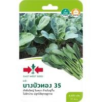 ราคา เมล็ดพันธ์คะน้าบางบัวทอง 35 ตราศรแดง (24084280908)