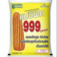 ราคา เมล็ดพันธุ์ข้าวโพดเลี้ยงสัตว์ แปซิฟิค999พร้อมส่งด่วน (6216987108)