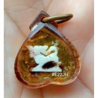 ราคา สิงห์สาริกางาแกะหลวงพ่อหอม วัดซากหมาก (15370930981)