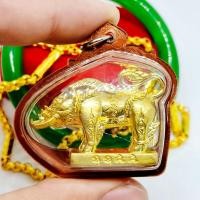 ราคา พญาหมูป่าเขี้ยวเพชร กะไหล่ทอง รุ่นขุมทรัพย์เขี้ยวแก้ว หลวงปู่กาหลงเขี้ยวแก้ว วัดเขาแหลม เลี่ยมกรอบกันน้ำอย่างดี หลวงปู่ป (13884846610)