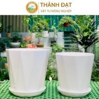 ราคา กระถางพลาสติกเพชรทรงสูง พร้อมจานรอง ถอดได้ (มี 2 ขนาด) ปลูกดอกไม้ ไม้ประดับ บนโต๊ะ สุด ๆ สวย (29690026535)