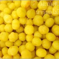 ราคา มะยม สามรส แพ้ค 1กิโลกรัมรสเปรี้ยวเค็มฟรีพริกเกลือ (28086994919)