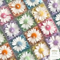 ราคา ️ เทียนหอมดอกเดซี่สีขาว พร้อมกล่อง/ถุงแก้ว ของขวัญ ของชำร่วย ของที่ระลึก ตกแต่งบ้าน✨ (28438583244)