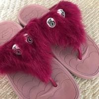 ราคา รองเท้า Jelly Bunny แท้ % ✨ของเด็ก✨ (1055090220)