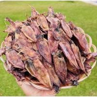 ราคา หมึกกระตอย1กิโลกรัม ตัวสวยไม่เค็ม (24579140253)