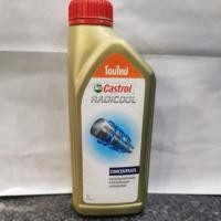 ราคา น้ำยาหม้อน้ำ castrol (14953669077)